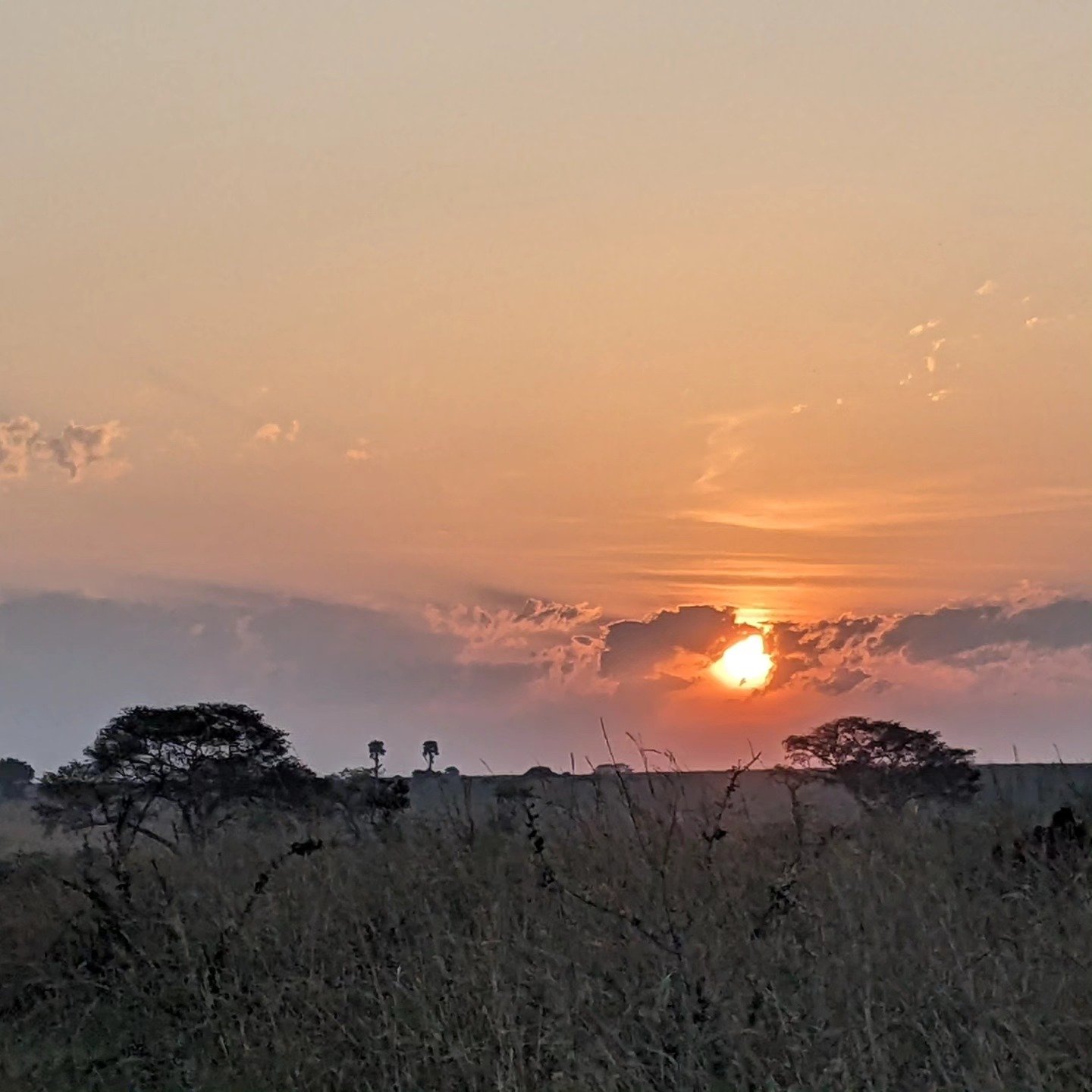 Aventure de 14 jours au Rwanda et en Ouganda - null - Photo du jour
