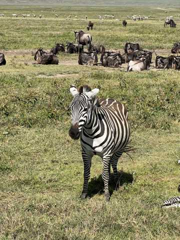 The Signature Luxury Safari Experience