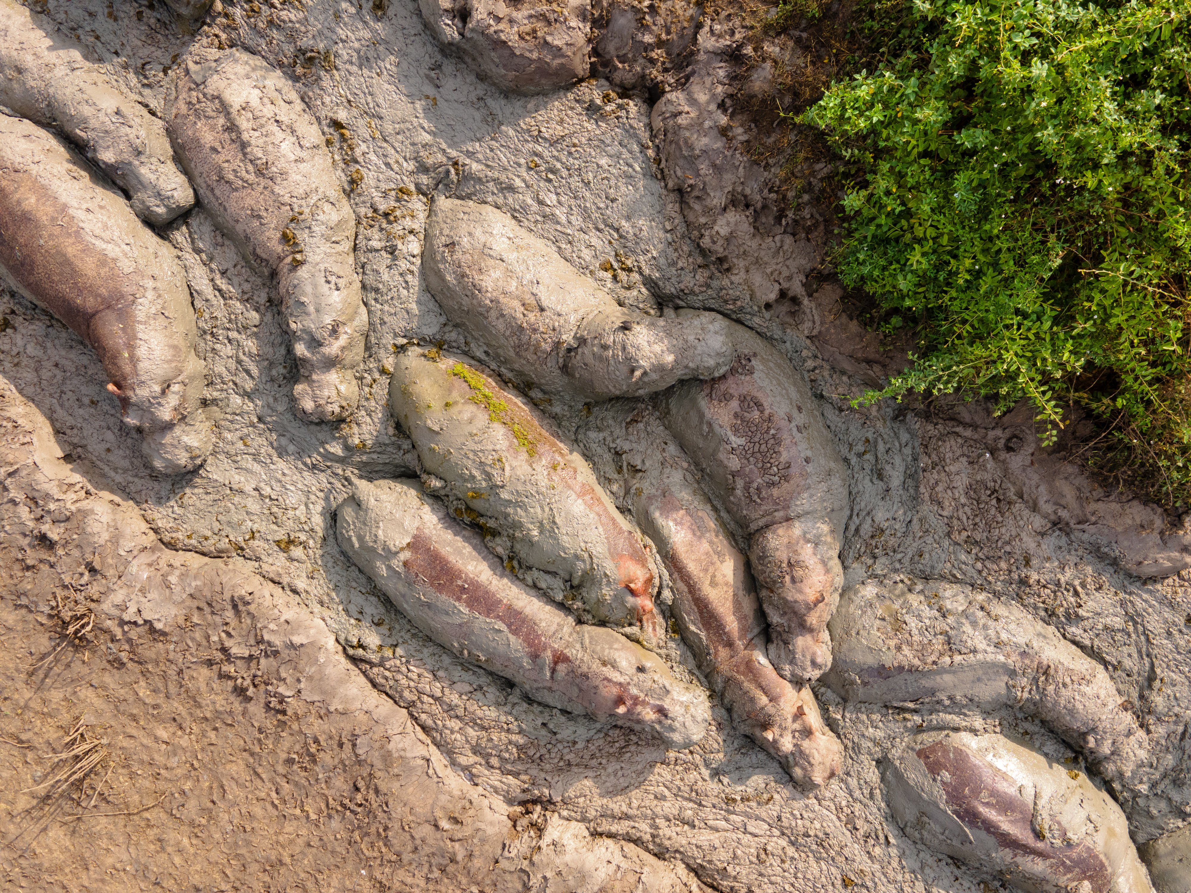 12 jours en Ouganda, exclusif de milieu de gamme, avec gorilles et safari animalier. - Game Drive, croisière en bateau sur le canal Kazinga - Game Drive, croisière en bateau sur le canal Kazinga