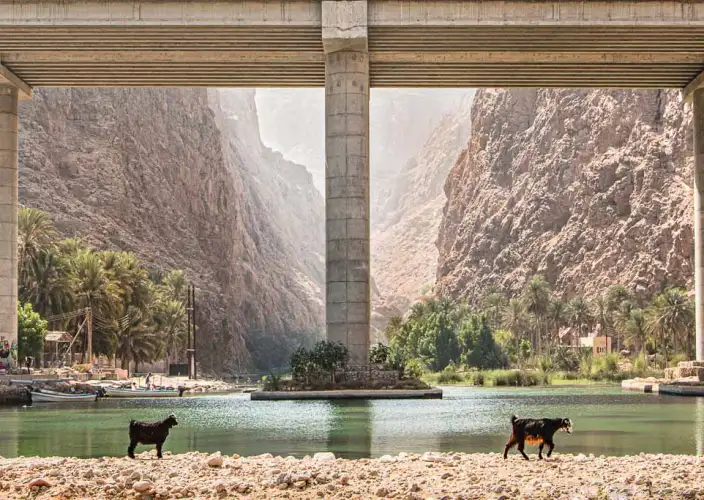 Gemme dell'Oman - Esplora la costa con l'avventura al Bimmah Sinkhole e Wadi Shab. - Hiking Experience at Wadi Shab