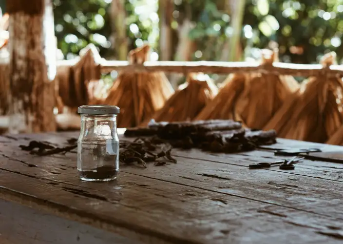 Ultimate Cuban Life Experience – 9 Days - Vinales - Photo of the day