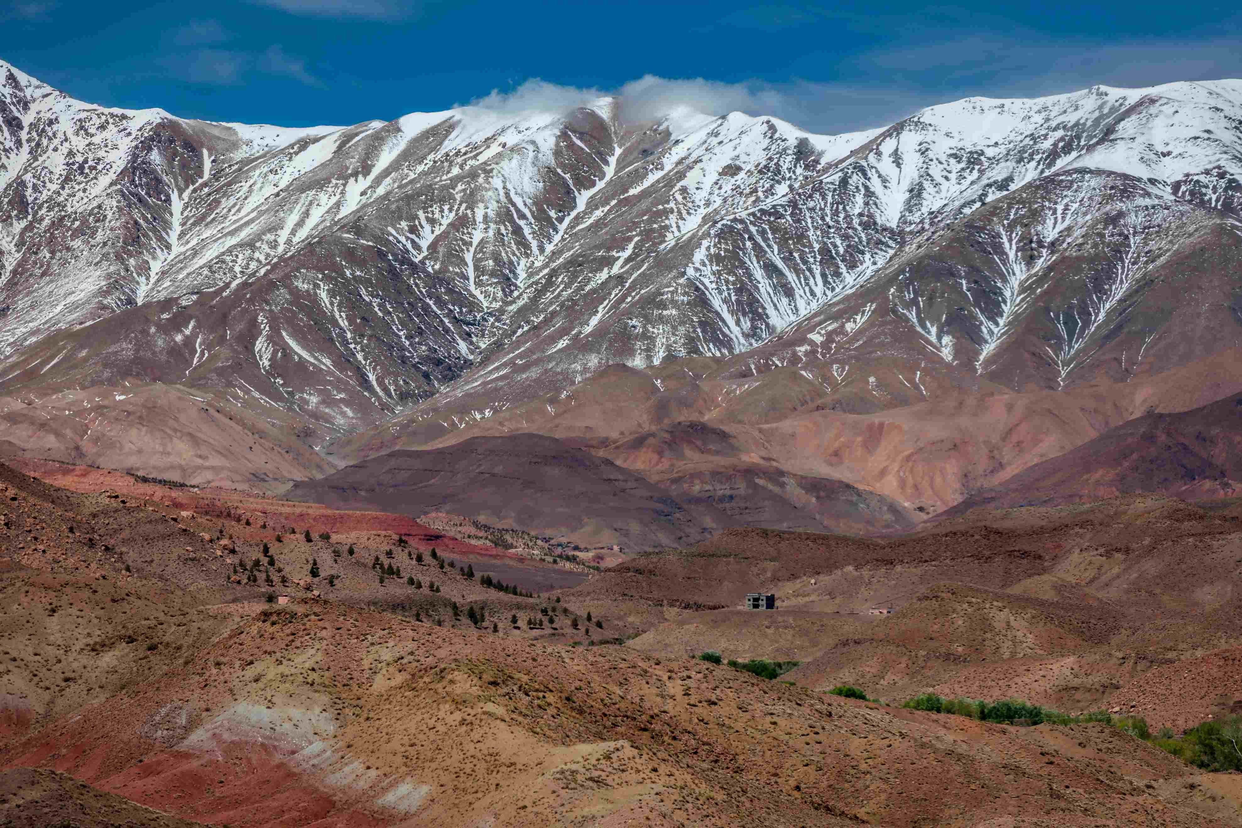 Honeymoon off the beaten path. - Oasis M'Douer - Oasis M'Douer