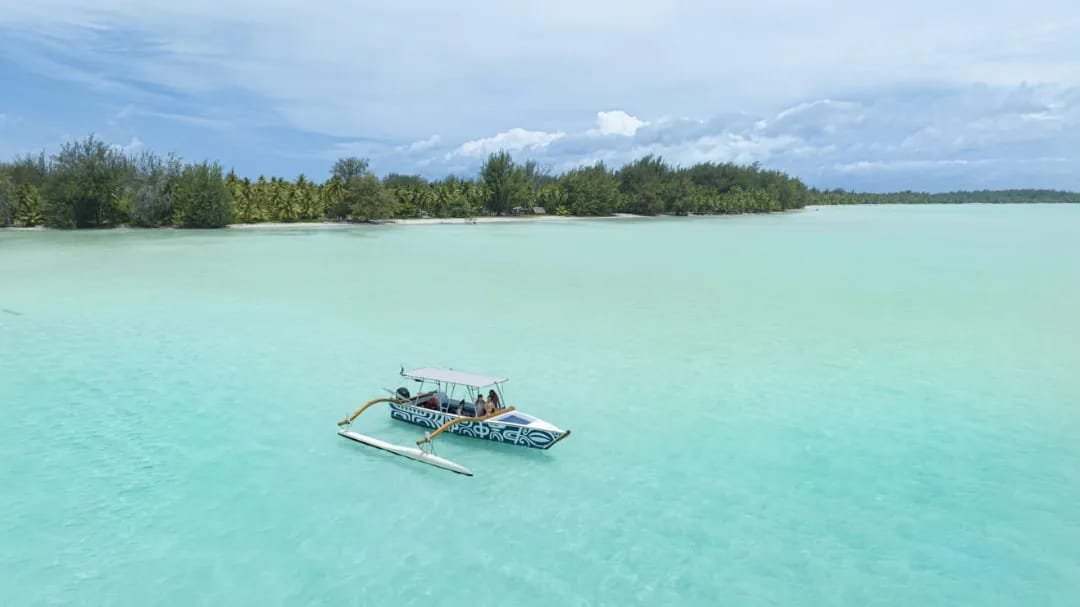 Prima esperienza in Polinesia Francese: il soggiorno ideale - Uscita in mare per osservare le balene. - lagon