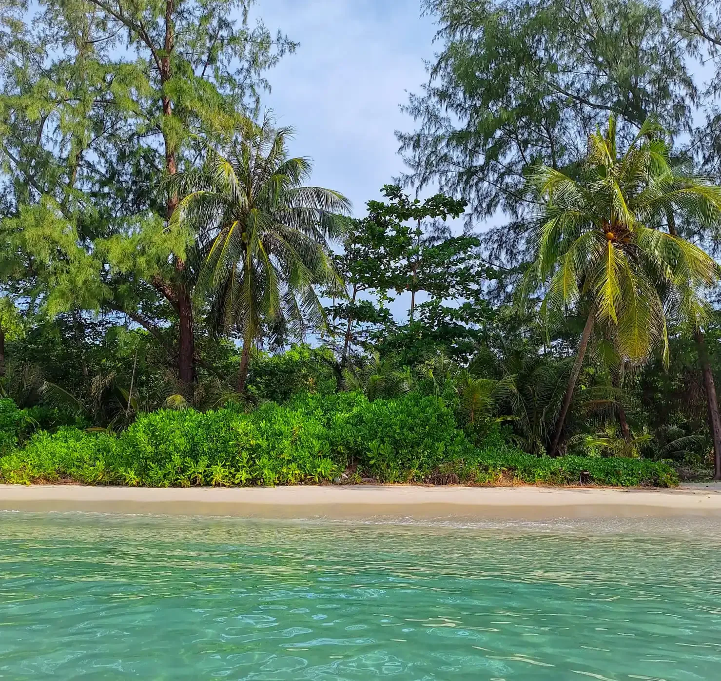 Thailand in 3B: Bangkok, beaches and bungalows - Koh Kood at liberty - Photo of the day