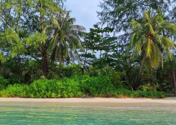 Thailand in 3B: Bangkok, beaches and bungalows - Koh Kood at liberty - Photo of the day