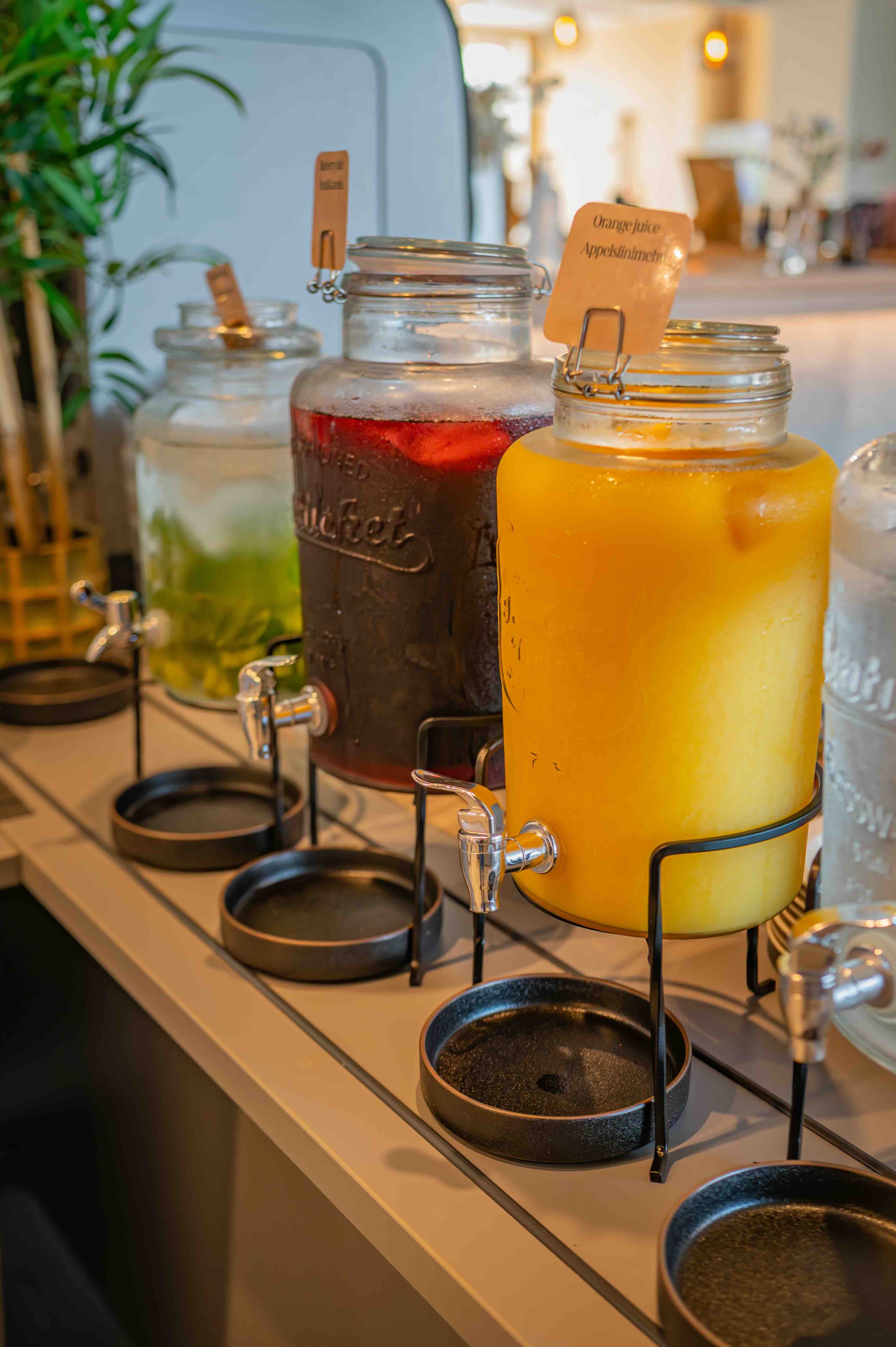 Retiro Ártico del Cartero - null - Foto del día