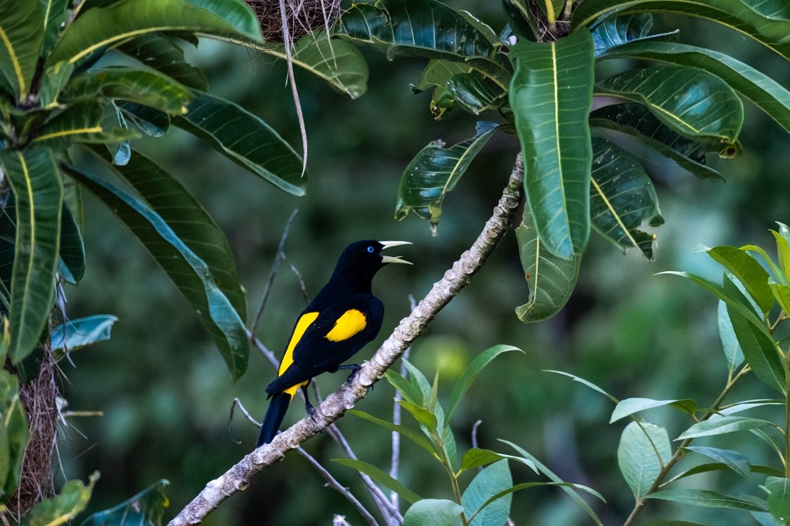 Bolivia Amazon Adventure (ATCH 3000) - Rurrenabaque - La Paz - Photo of the day