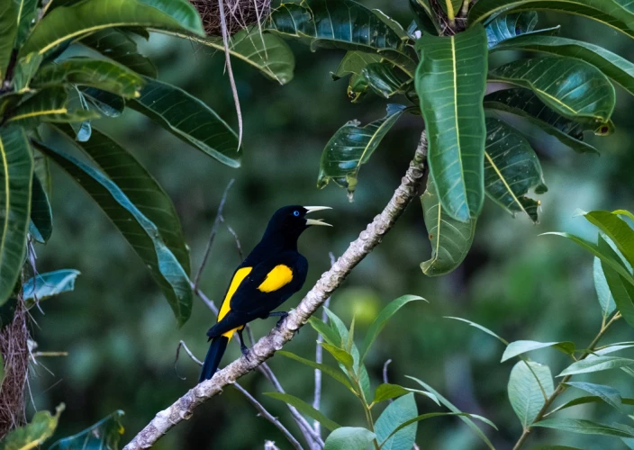 Bolivia Amazon Adventure (ATCH 3000) - Rurrenabaque - La Paz - Photo of the day