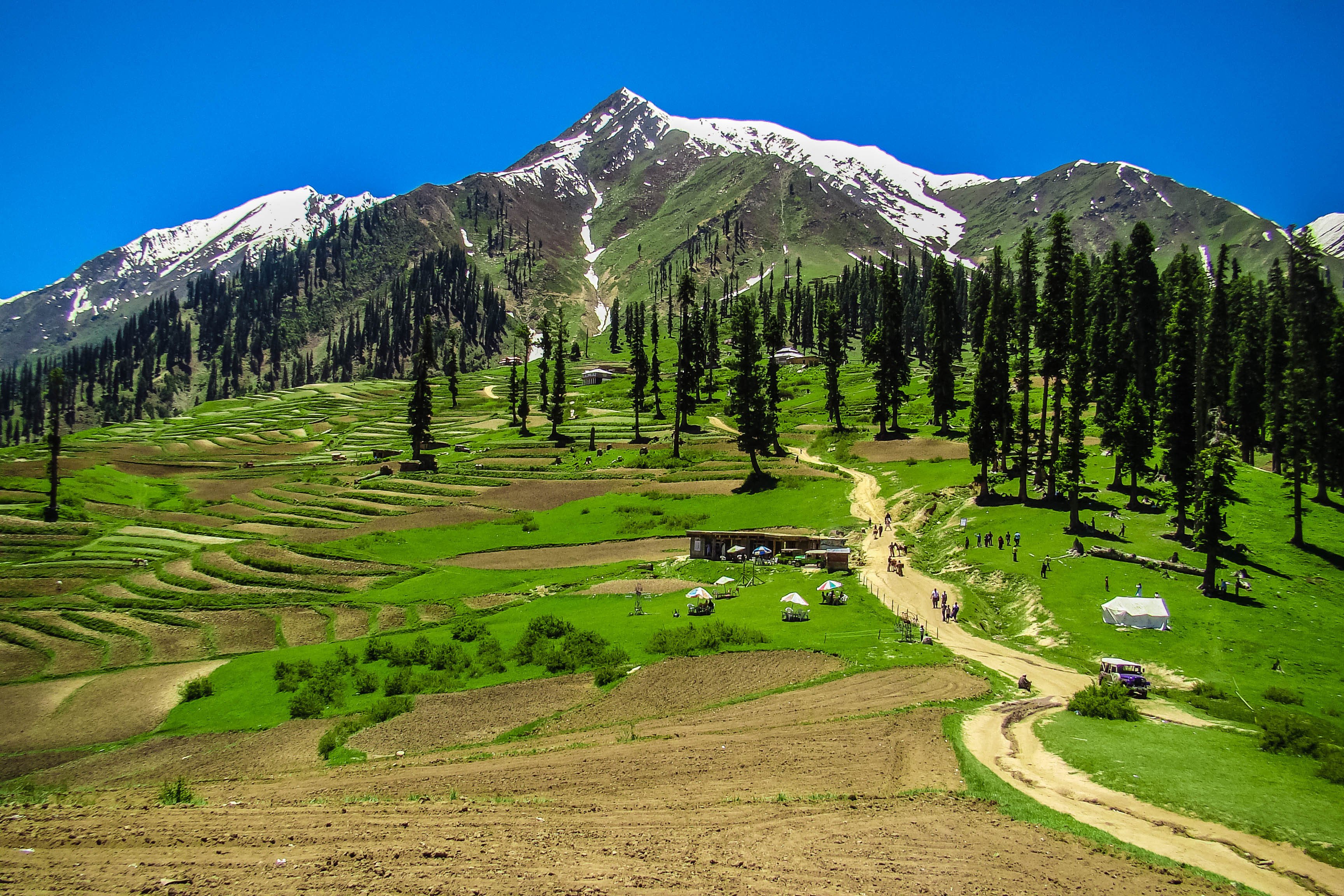 Le meilleur du trekking dans les montagnes du Pakistan et de la visite culturelle de la vallée de Hunza. - Prairies féeriques - Prairies féeriques