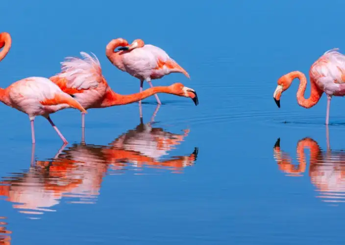 Galápagos Multisport-Abenteuer - Baltra – Isabela - Tagesfoto