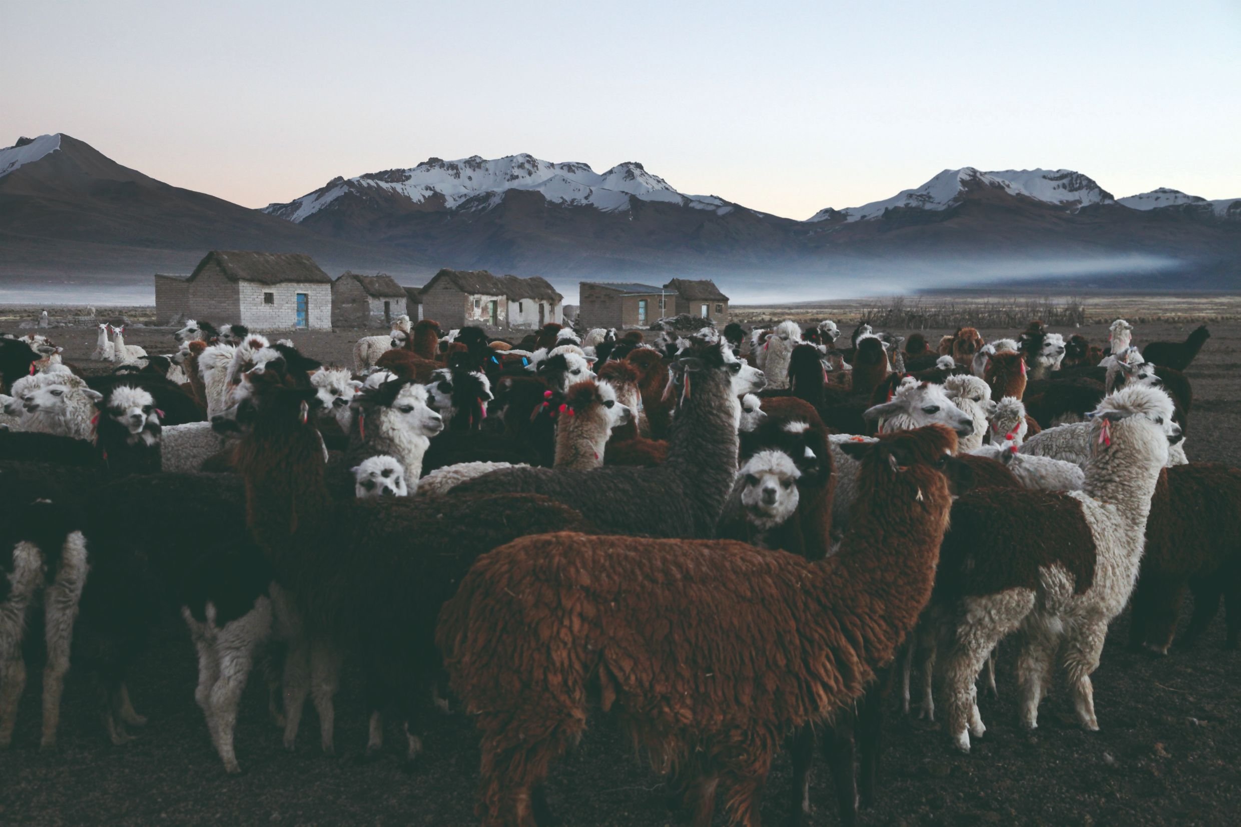 The great open spaces in Bolivia - Tahua - Quillacas - Turco - Pumiri - Tomarapi - Tahua - Quillacas - Turco - Pumiri - Tomarapi