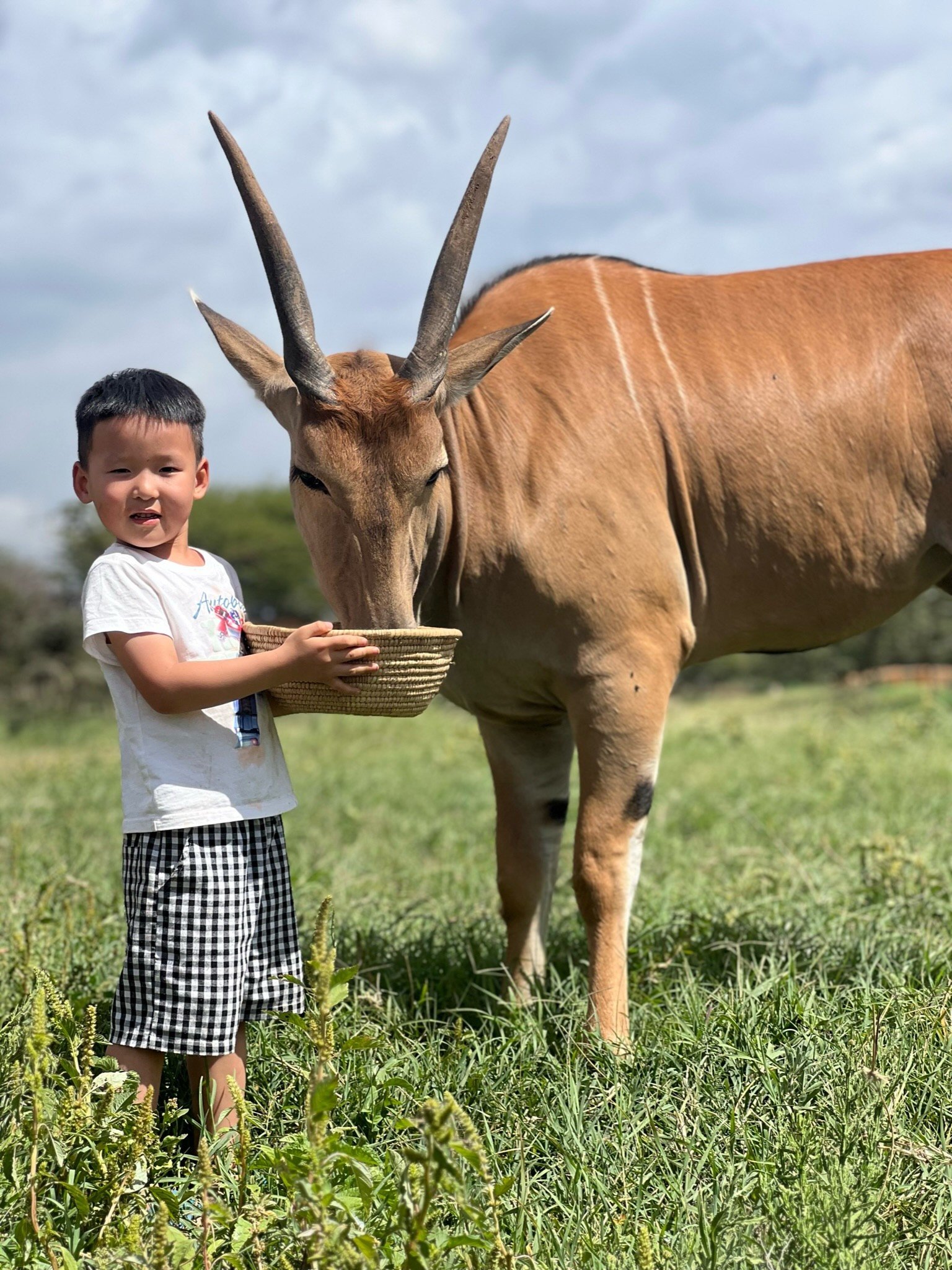 Animal Interaction at Zero Distance | Serval Wildlife Park - Day Trip to Serval Wildlife Park from Arusha - Photo of the day