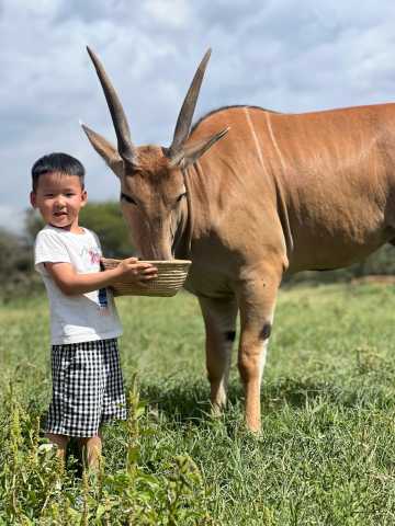 Animal Interaction at Zero Distance | Serval Wildlife Park