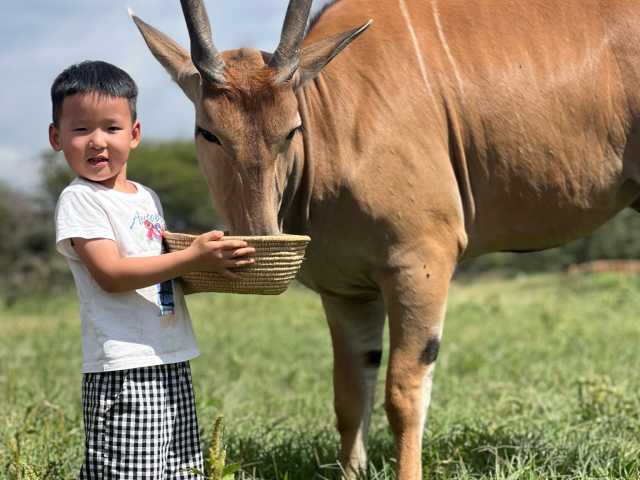 Interação com Animais a Zero Distância | Parque de Vida Selvagem Serval