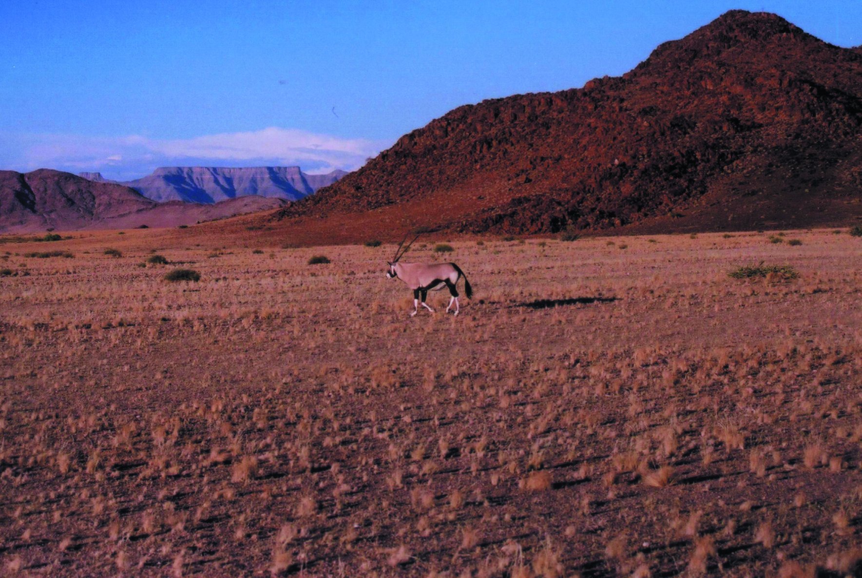 El gran Namib - Parque Nacional de Sesriem - Parque de Cebras de Montaña Naukluft - Sesriem National Park - Naukluft Mountain Zebra Park