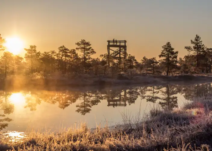 De Vilnius a Helsinki: el autotour báltico - Joyas de Curlandia y Riviera Báltica antes de la llegada a Rīga - Foto del día