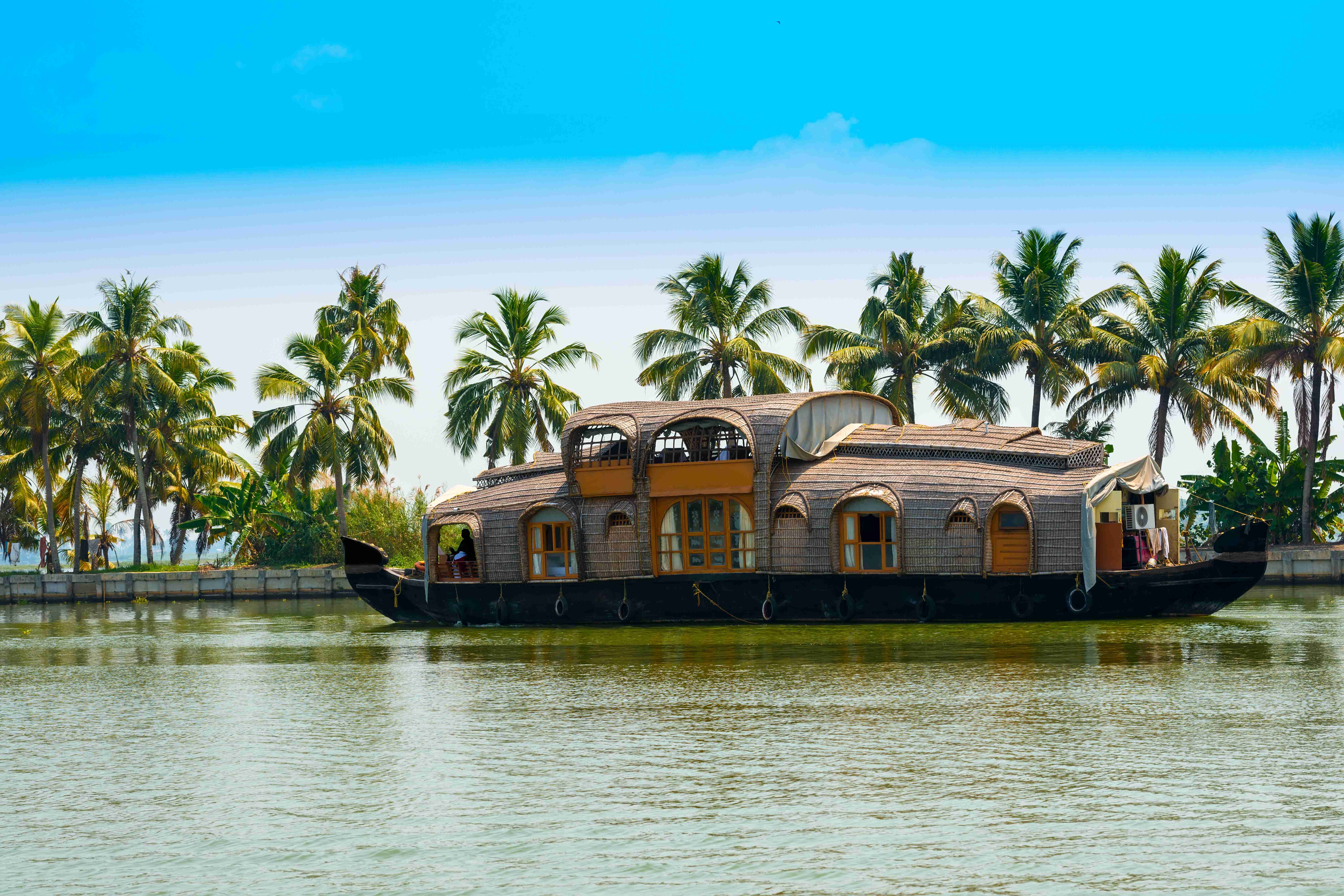 Voyage en famille : nature, éléphants et sentiers - Backwaters - Backwaters