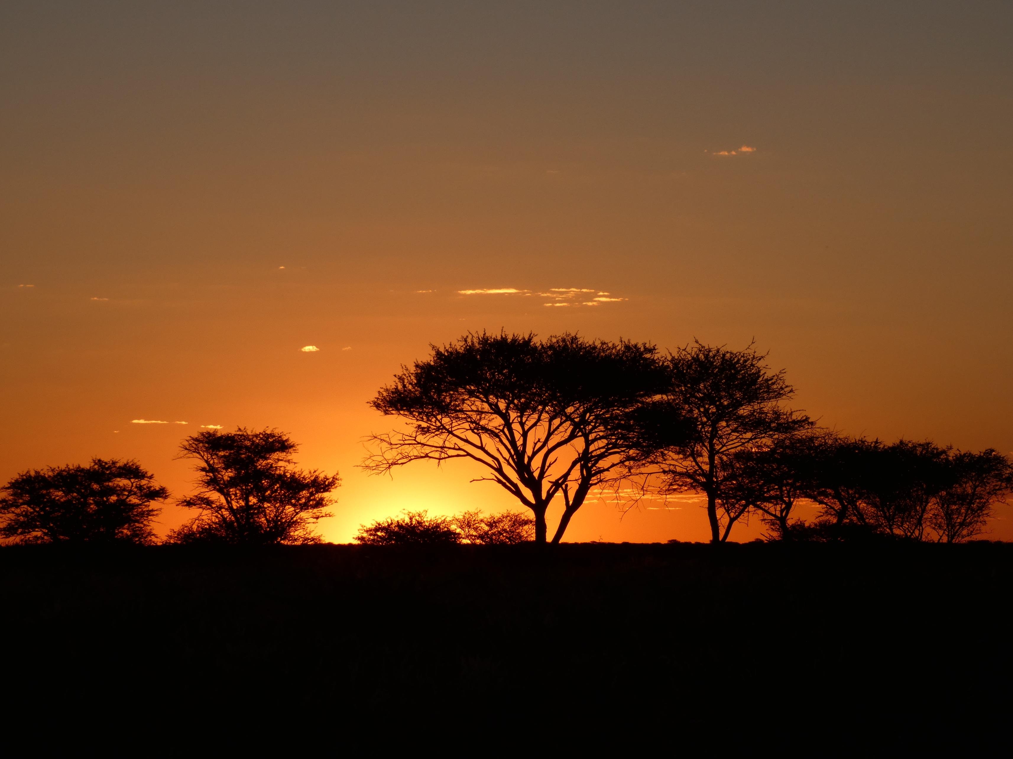 La Namibie : du désert du Namib aux chutes Epupa - Fin de l'itinéraire - Fin de l'itinéraire