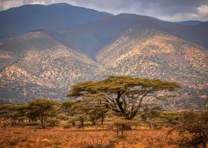 12-daagse safari, lokale levensstijl & Zanzibar all-inclusive - Aankomst in Arusha - Foto van de dag