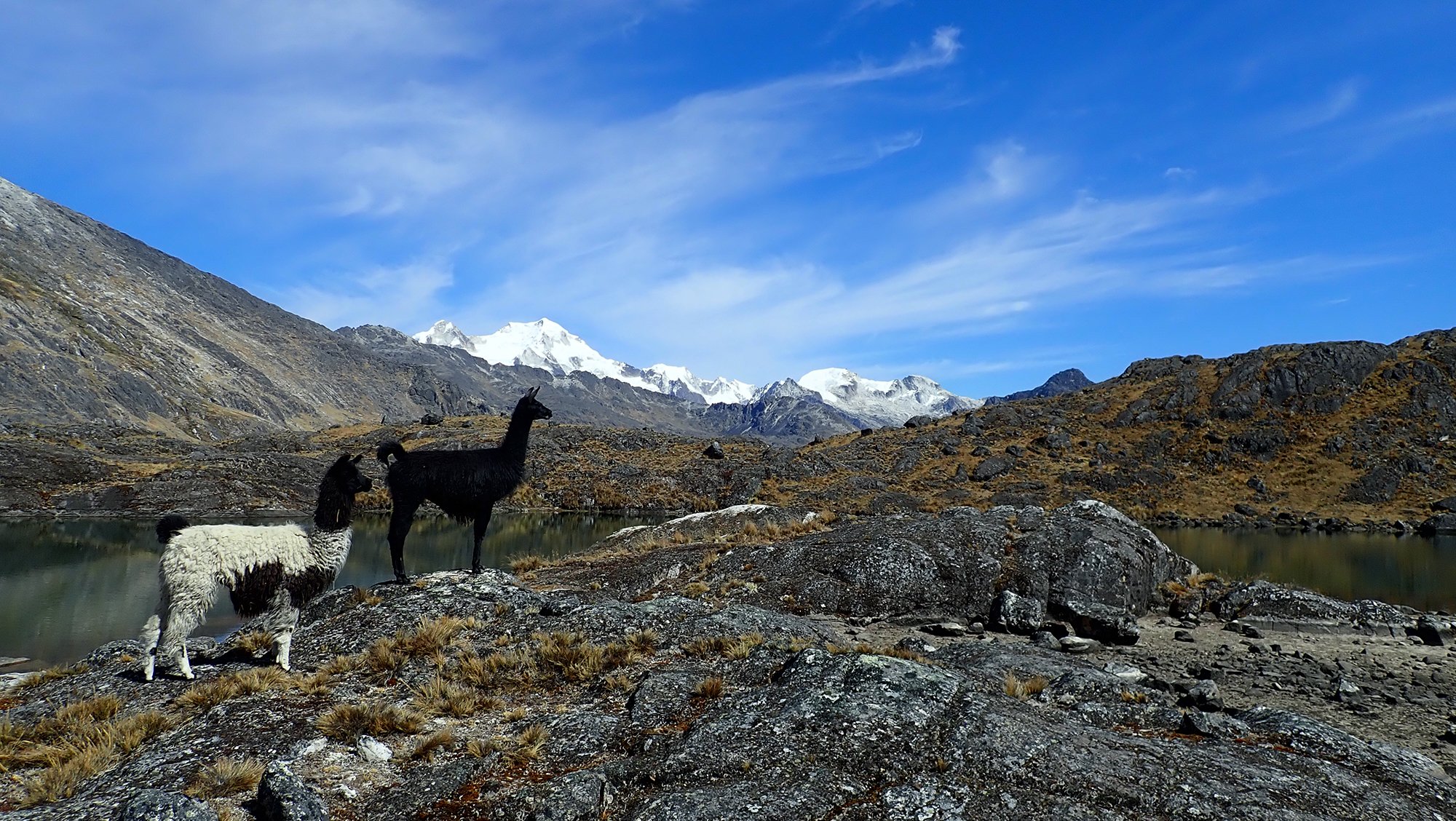 Rock Climbing en trek op een onontdekte top - Kamp Cerro Wila Lluxita - Basiskamp Janqu - Wandeling naar de lagunes of rust. - Camp Cerro Wila Lluxita - Camp de base Janqu - Randonnée aux lagunes ou repos