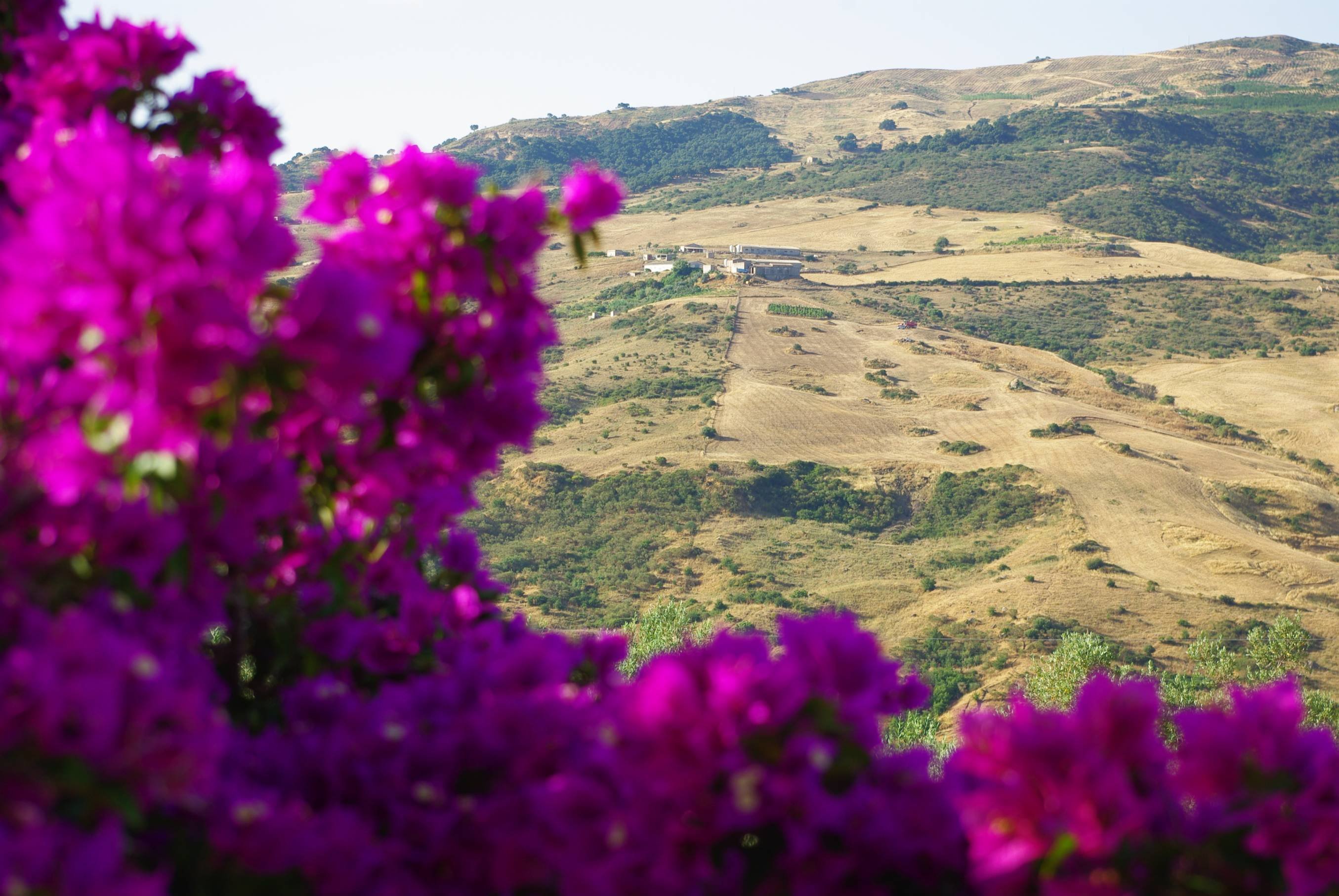 Estancia de senderismo alrededor de Cefalù y las Madonie - Salida de Palermo - Départ de Palerme