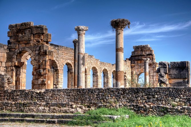 Gran Tour de Marruecos - CHEFCHAOUEN - VOLUBILIS - MEKNÈS 3h 35min (195 km) - Foto del día