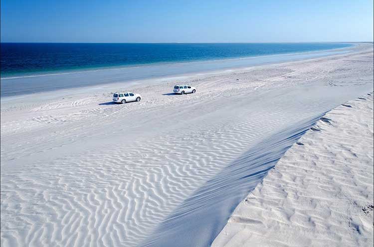 7 giorni di esplorazione dalle dune di sabbia di Wahiba alle dune di zucchero di Khaluf in Oman - Esplora le Dune di Zucchero di Khaluf - Foto del giorno