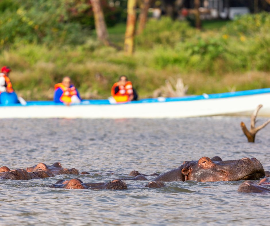 Safari Confort de 8 jours au Kenya - Route vers le lac Naivasha - Route vers le Lac Naivasha