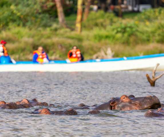 Safari Komfort von 8 Tagen in Kenia