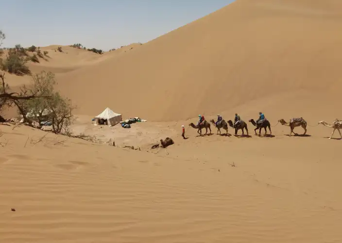 Trek et randonnée dans le désert – Vallée du Drâa – 5 jours - Dunes Larjam - Plateau désertique - dunes Regabi - Photo du jour