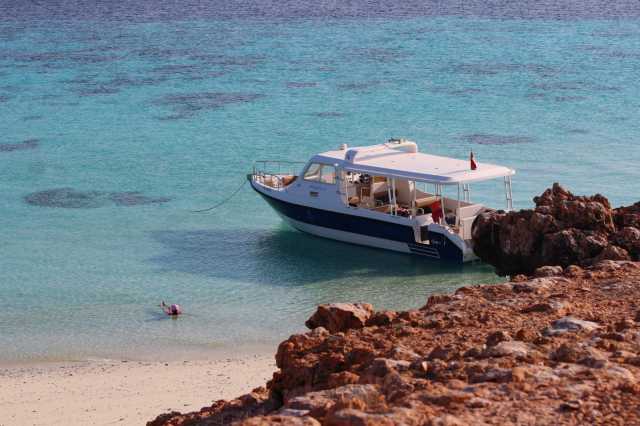 Maravilhas da Ilha Dimaniyat Tour de 6 Horas - Mergulho com Snorkel para Explorar a Vida Marinha