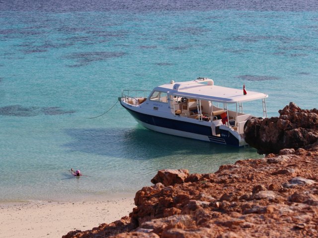 Maravilhas da Ilha Dimaniyat Tour de 6 Horas - Mergulho com Snorkel para Explorar a Vida Marinha