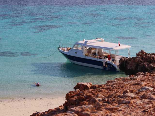 Merveilles de l'île Dimaniyat : excursion de 6 heures - Plongée avec tuba pour explorer la vie marine
