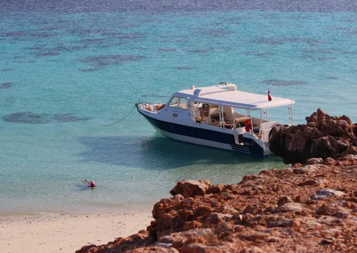Meraviglie dell'Isola Dimaniyat Tour di 6 ore - Snorkeling per Esplorare la Vita Marina - Tour di snorkeling alle Isole Dimaniyat - 6 ore - Foto del giorno