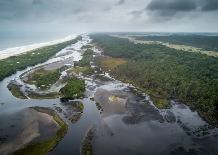 Experiência com Gorilas das Terras Baixas em África: Último Éden "GABÃO" - null - Foto do dia