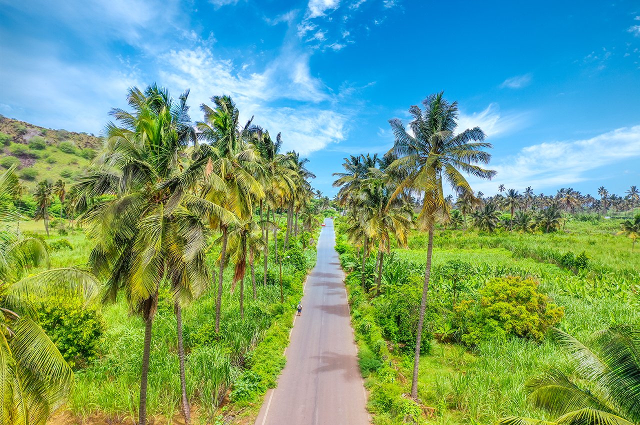 The treasures of Santiago - Rural walk among the coconut trees. - Balade rurale dans les cocotiers