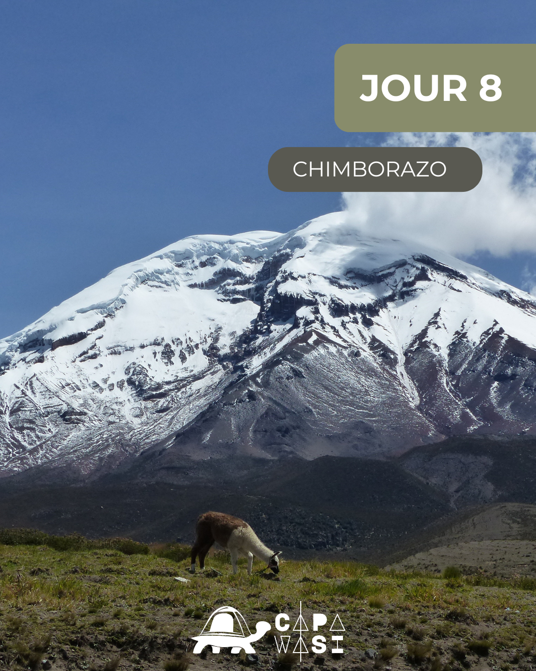 The Great Crossing of the Equator - in a small French-speaking group - WEDNESDAY - The Chimborazo colossus - Photo of the day