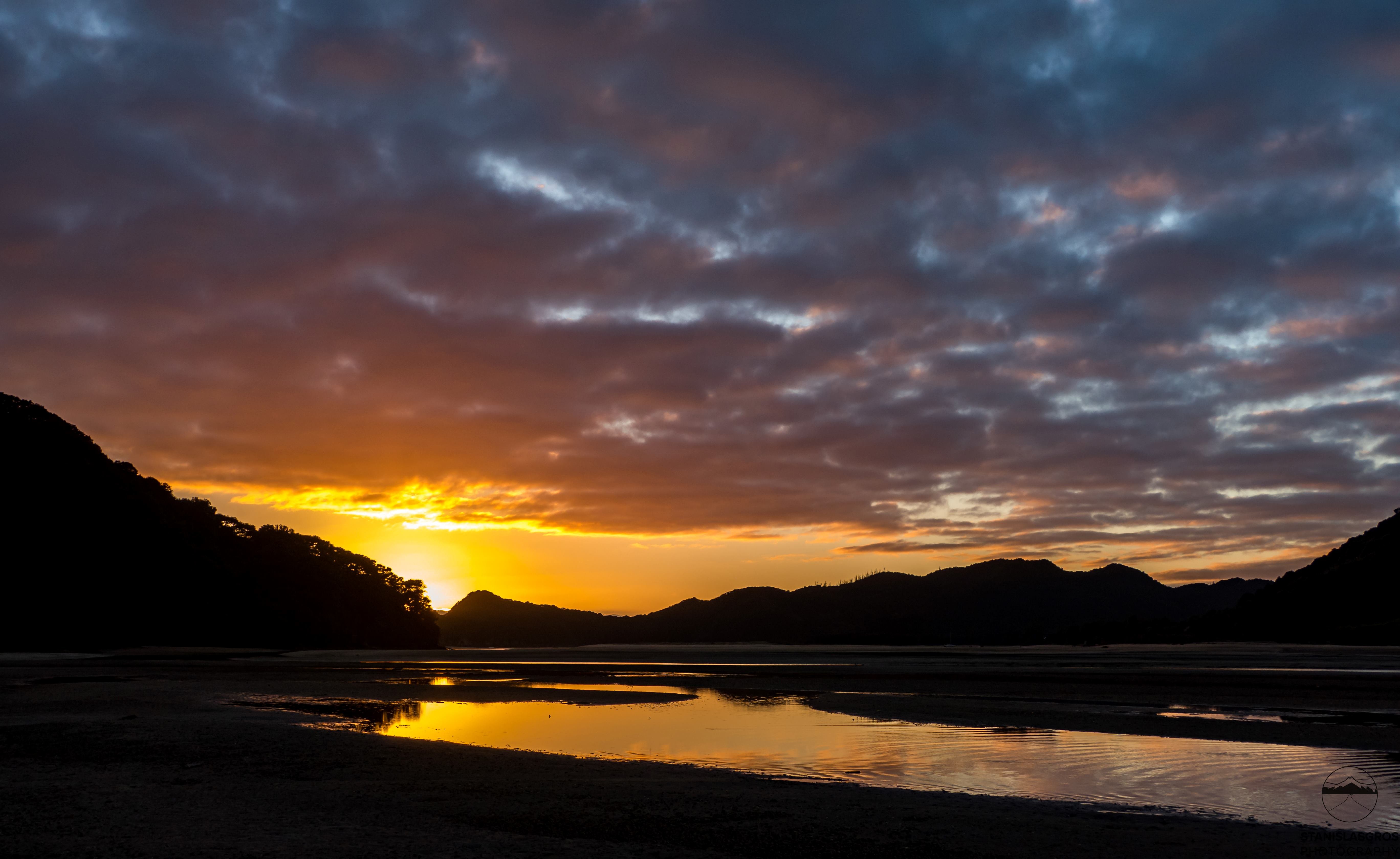 Le imperdibili della Nuova Zelanda - Abel Tasman via i Marlborough Sounds - Foto del giorno