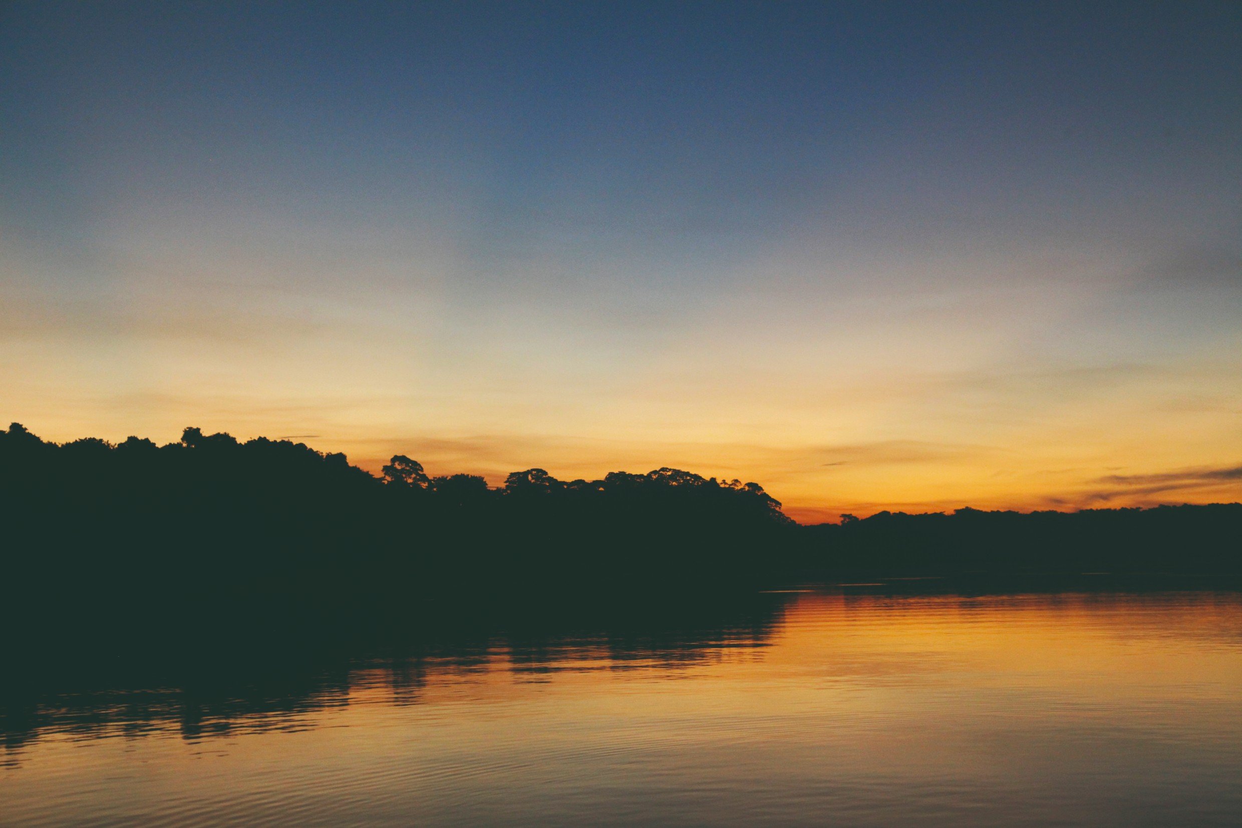 Survie dans le Madidi, immersion en Amazonie bolivienne - Parc Madidi - Rurrenabaque - Parc Madidi - Rurrenabaque