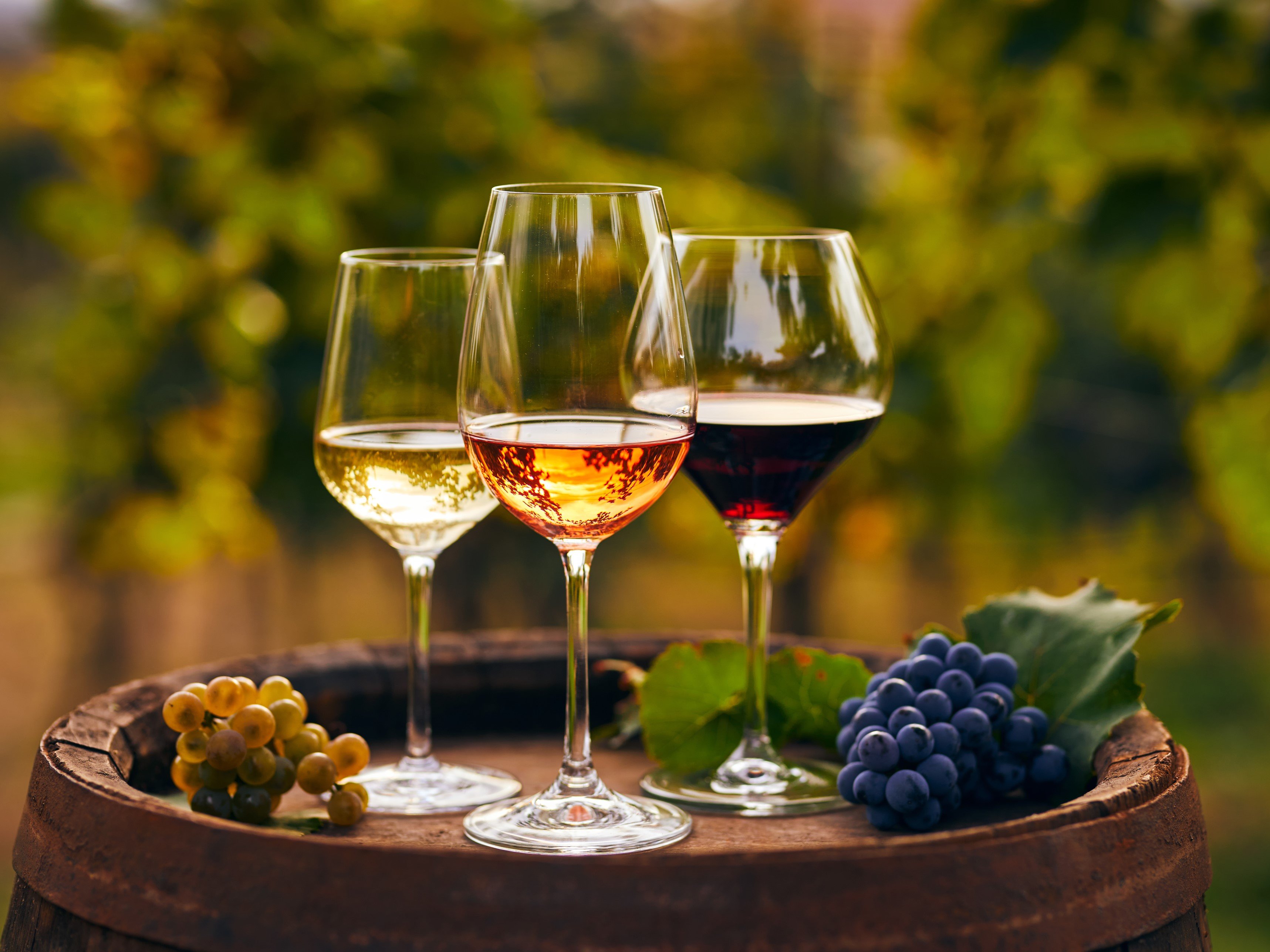 Explora lo Mejor de Eslovenia – Itinerario de 5 Días - Cascadas y cata de vinos en Goriška Brda - Foto del día