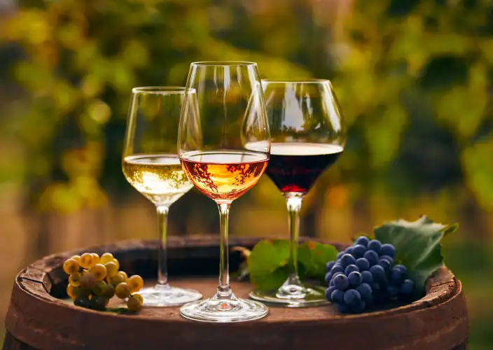 Explora lo Mejor de Eslovenia – Itinerario de 5 Días - Cascadas y cata de vinos en Goriška Brda - Foto del día