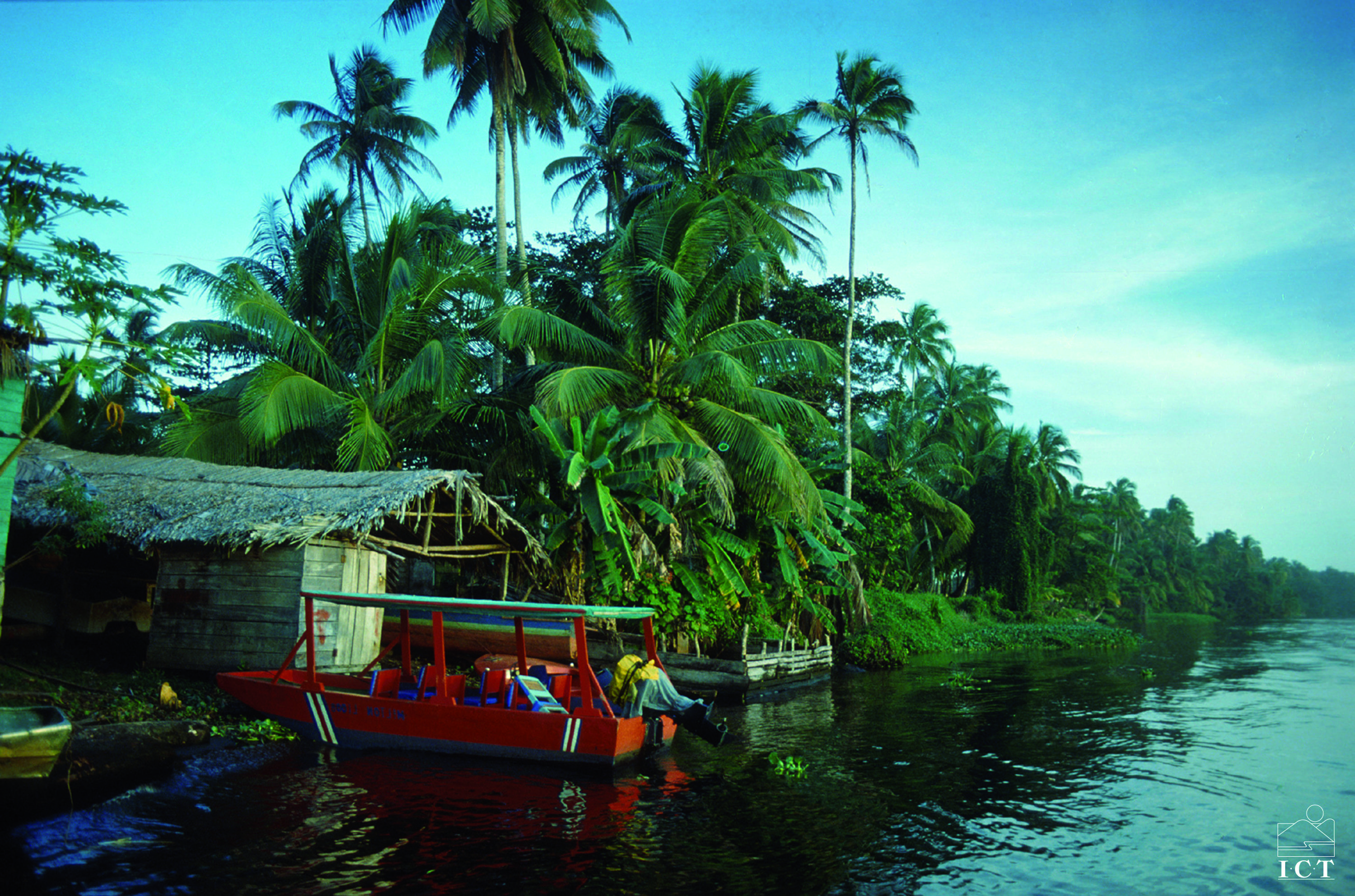 L'essentiel du Costa Rica - Tortuguero, la diversité des canaux - Tortuguero, la diversité des canaux