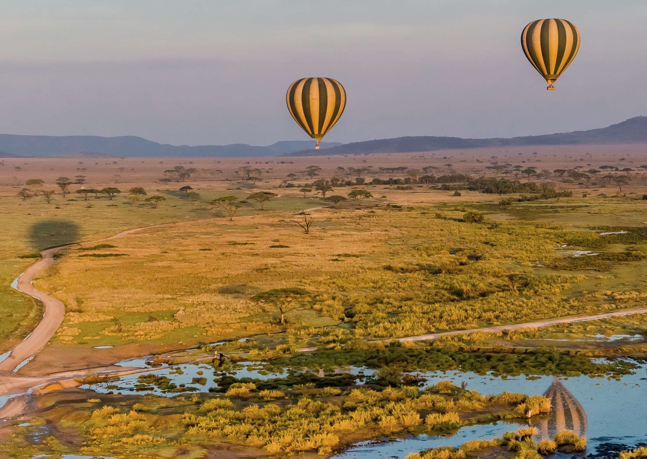 6 jours de safari de migration en Tanzanie. - Journée complète dans le parc national du Serengeti. - Journée complète dans le parc national du Serengeti
