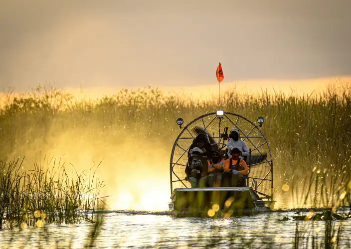 Sotto il sole della Florida - Le Everglades: il richiamo della natura selvaggia - Foto del giorno