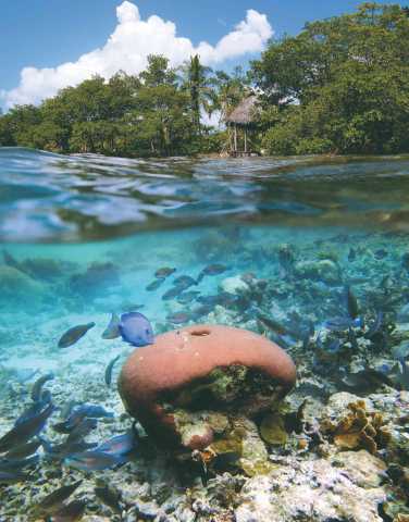 Esplendores de Panamá