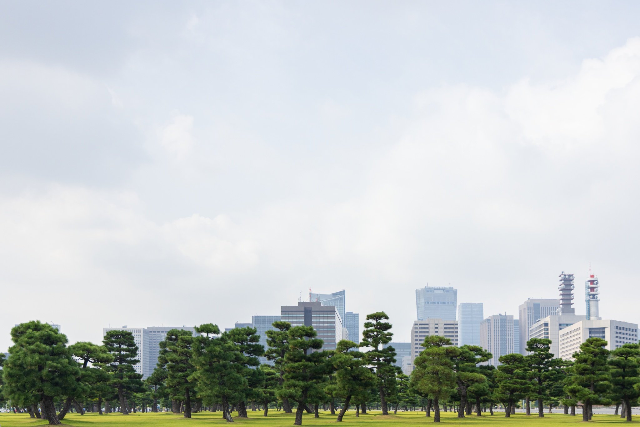 Japan, crossing the Daisetsuzan National Park and the wonders of Hokkaido - Back to Tokyo - Photo of the day