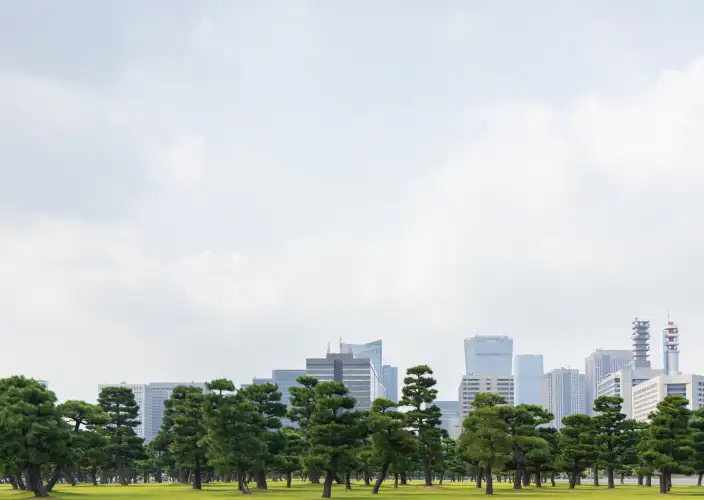 Japan, crossing the Daisetsuzan National Park and the wonders of Hokkaido - Back to Tokyo - Photo of the day