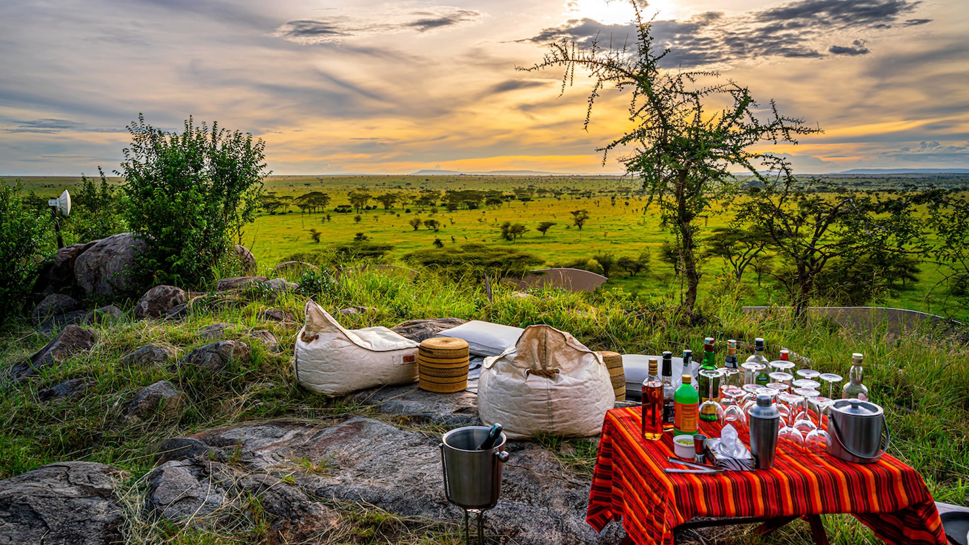 Safari de lujo en avión por Kenia - Maasai Mara – Safari en globo opcional y más - Foto del día