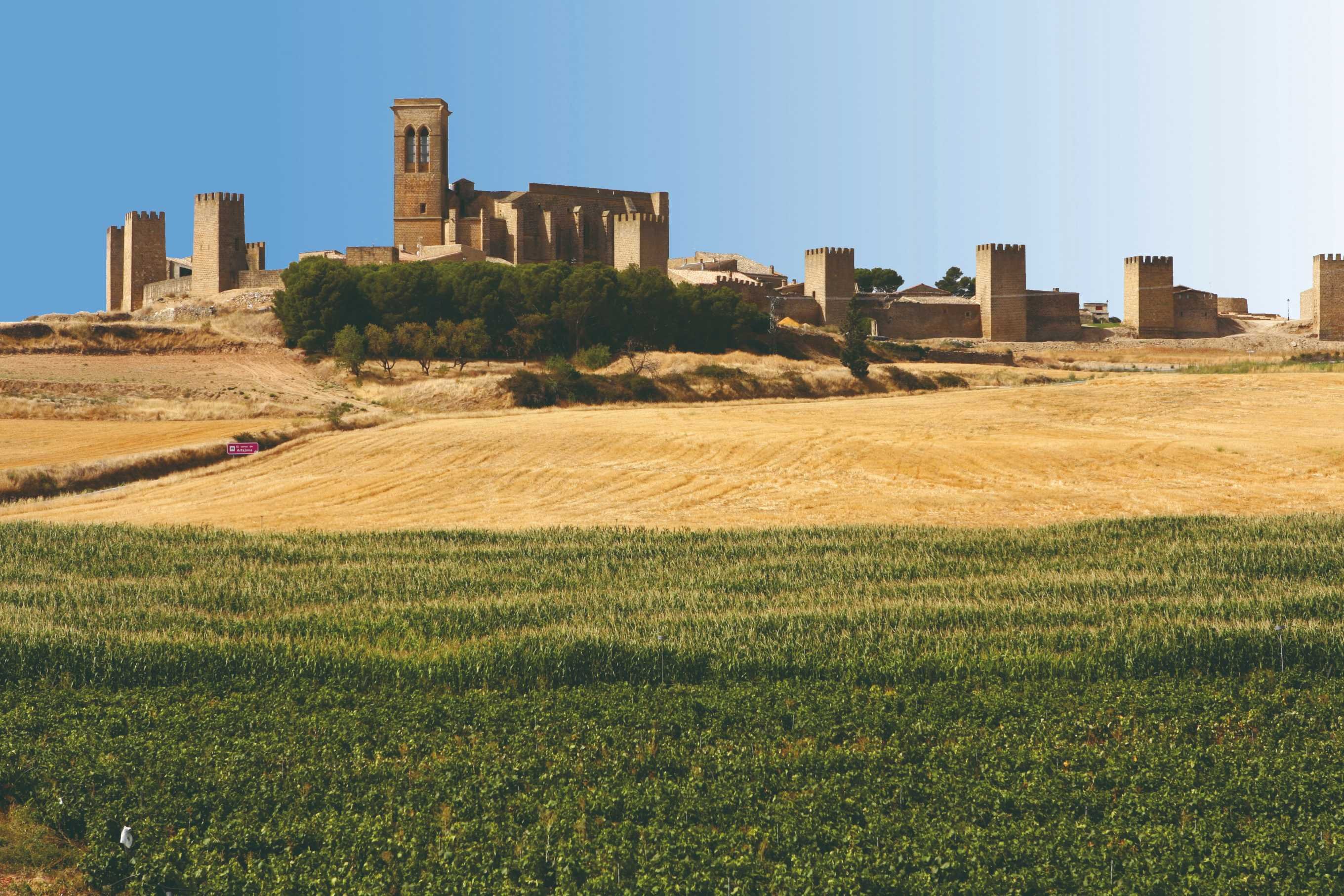 Bardenas Reales et Mallos de Riglos, deux sites incontournables. - Mirador des Vautours - Riglos - Murillo de Gállego - Mirador des vautours - Riglos - Murillo de Gallego