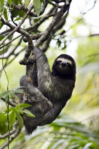 Ontdekking van het echte Costa Rica, gericht op het land en de landbouw.